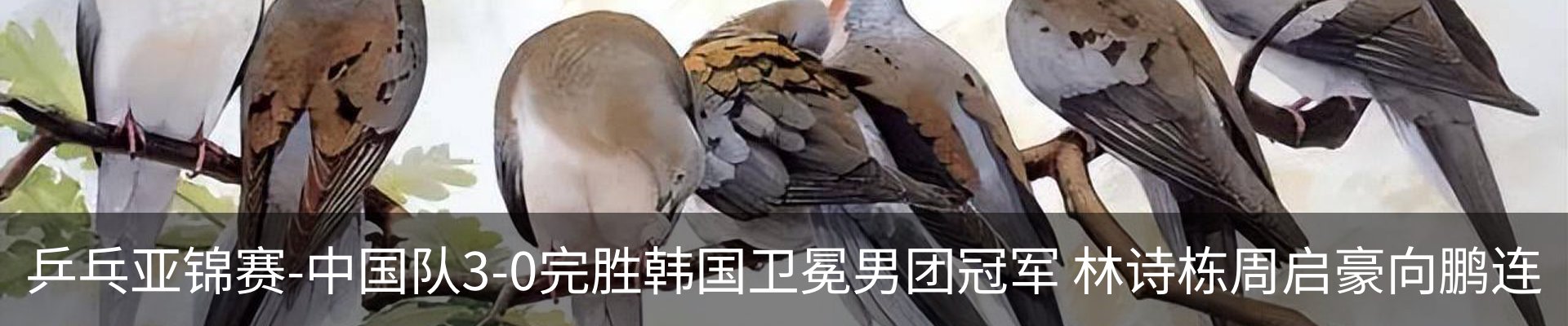 资讯动态