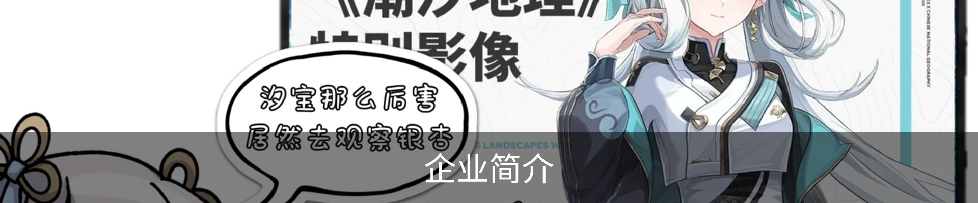 企业简介